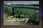 First Day Of Spring