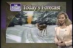 Today's Forecast