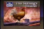 This Morning's Weather