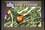 Today's Forecast